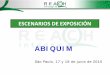 ABIQUIMcanais.abiquim.org.br/reachpdfs/Reach_11_Francisco_Perez.pdf · 2015-09-10 · fabricación y usos en toda la cadena de suministro •Informe de la seguridad química ... Ciclohexano