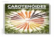 CAROTENîIDES - Aditivos Ingredientesaditivosingredientes.com.br/upload_arquivos/201604/... · inversa, reduzindo a biodisponibilidade dos carotenóides presentes no alimento; a configuração