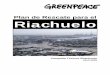 Plan de Rescate para el Riachuelo - greenpeace.org · El agua contaminada inunda las ... plantas radicadas en esa región, ... frigoríficos, curtiembres y petroquímicas, 