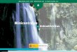 Minicentrales Hidroeléctricas - nol.infocentre.esnol.infocentre.es/ictnol/pdf/manual_minicentrales_hidroel.pdf · Blanco para una Estrategia Común y un Plan de Acción para las