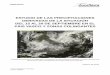 ESTUDIO DE LAS PRECIPITACIONES DERIVADAS DE ... - …amillena.com/informes/Est_01-10_lluvias torrenciales 18-09-2009.pdf · intensa que dio lugar a precipitaciones torrenciales sobre