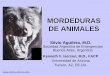 MORDEDURAS DE ANIMALES - reeme.arizona.edu Animales.pdf · • Pacientes mayores de 50 años. Las mordeduras de animales se deben considerar heridas propensas a tétanos; por lo tanto,