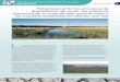 1 Relaciones entre los procesos de degradación del suelo ...esdac.jrc.ec.europa.eu/projects/SOCO/FactSheets/ES Fact Sheet.pdf · El suelo está compuesto por partículas minerales