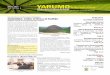 YARUMOInternacionalyarumo.net/20150504_vol_04_no_01_YARUMO.pdf · culativas sobre hallazgos de coltan, saber ya todo! Geociencias,GeotecnologíayGeoservicios ... Hoy con 5 patentes