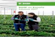 BASF en España Informe 2017 · Sobre este informe 3 Entrevista al Director General 4 Datos clave del Grupo BASF 6 El Grupo BASF 8 BASF en España 16 Desarrollo del negocio 20 Seguridad,