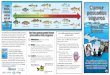 Elija Comer pescados en el Estos peces tienen menos ... · Use el gráfico de arriba para elegir los peces que tienen menos sustancias químicas y que son alimentos más seguros