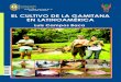 Cultivo de la Gamitana - Luis Campos v4repositorio.iiap.org.pe/bitstream/IIAP/108/1/Campos_2015.pdf · Estos problemas han exacerbado a los investigadores, ya que mucha de la información