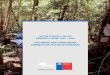 SECTOR FORESTAL CHILENO DESAFÍOS Y VISIÓN 2015 - … · el aporte de la actividad forestal a la economía, planteaban ... las condiciones económicas, sociales y ambientales del