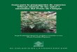 Guía para la propagación de especies leñosas nativas de ... · El bosque mesófilo de montaña (BMM) es uno de los tipos de vegetación ... Si consideramos que para muchos grupos