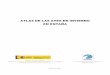 ATLAS DE LAS AVES EN INVIERNO EN ESPAÑA - Luis M. …lmcarrascal.eu/pdf/atlasinv2.pdf · ATLAS DE LAS AVES EN INVIERNO EN ESPAÑA Servicio de Vida Silvestre Subdirección General