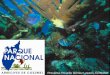 Presenta: Ricardo Gómez Lozano, CONANP - marfund.org · • Fauna terrestre: 136 especies • 282 peces • 75 esponjas • 48 corales blandos • 62 corales duros • 50 equinodermos