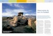 Observación de aves en Euskadi - revista.destinosur.comrevista.destinosur.com/pdf56/birding_euskadi.pdf · de una gran calidad en el servicio y de paquetes turísticos específicos