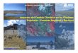 Impactos del Cambio Climático en los Glaciares …openburningcryosphere.org/.../2015/02/1-Glaciares-ANA.pdfReducción de Área: 871 km2 42% en 40 años Distribución de las 19 Cordilleras