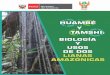 HUAMBÉ - iiap.org.pe · demográfico, permitió que los primeros horticultores amazónicos empezaran a experimentar con una serie de materiales naturales, ensayando una diversidad