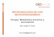 BIOTECNOLOGIA DE LOS MICROORGANISMOSbiotecnologiaindustrial.fcen.uba.ar/wp-content/uploads/2010/04/E2a... · aconitasa y la isocitrato deshidrogenasa, se reducen drásticamente en