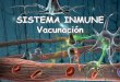 SISTEMA INMUNITARIO - iespoetaclaudio.centros.educa.jcyl.esiespoetaclaudio.centros.educa.jcyl.es/sitio/upload/sistema_inmune... · Las moléculas de anticuerpos se unen a las de antígeno,