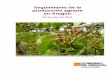Seguimiento de la producción agraria e ragón - Gobierno de Aragón · 2012-05-23 · en conjunto, ha llovido más del doble de la precipitación normal ... 11,5 9,9 9,4 11,4 13,0