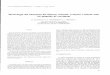 Morfologia del basament del Pirineu oriental: evolució i ...diposit.ub.edu/dspace/bitstream/2445/33124/1/092054.pdf · Morfologia del basament del Pirineu oriental: evolució i relació