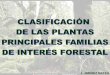 J. JIMÉNEZ MATEOservicios.educarm.es/templates/portal/ficheros/websDinamicas/20... · LAS PLANTAS. CLASIFICACIÓN Categorías taxonómicas principales Sistema de Clasificación con
