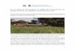 En un campo de 60 hectáreas de alfalfa para la producción de …publicadord7.lavozdelinterior.net/sites/default/files/... · 2016-04-25 · que poseen un diseño de dos grandes