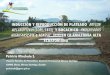 INDUCCIÓN Y REPRODUCCIÓN DE PLATEADO BRYCON …acuacultura.espe.edu.ec/wp-content/uploads/2013/09/Patricio... · • Éxito de piscicultura como bio-industria. ... • Manejo de