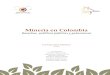 Minería en Colombia - Red por la Justicia Ambiental en ... · Deber de planificación y ordenamiento ambiental y ... Carta Política y política minera 185 Ley 685 de 2001 –Código