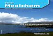 Edición 4 – Mayo de 2014 Mexichem · fases del diseño y la ingeniería del proyecto, la construcción de edificaciones y el ... Rescate de huerta escolar en Cajic ... Emel Mendoza