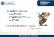 El futuro de las ENERGIAS RENOVABLES en el PERU - IV …miguelhadzich.com/wp-content/uploads/2013/04/ppt-El-futuro-de-las... · que representa para el suministro energético en un