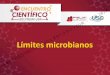 Límites microbianos - farmacopea.org.mx · En los productos no estériles que carecen de especificación, aplicar el Apéndice VII Análisis microbiológico de productos farmacéuticos