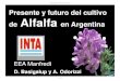 Alfalfa en Argentina - El Sitio de la Producción Bovina ... · Enzima: CHALCONA SINTETASA (Petunia hybrida) 150 plantas transgénicas caracterizadas por PCR SÍNTESIS DE ANTOCIANINAS