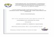 UNIVERSIDAD AUTÓNOMA CHAPINGO - ritaschwentesius.mxritaschwentesius.mx/tesis-profesionales/Café_en_Chiapas.pdf · 4.7.4 Producción de Café Orgánico en Organizaciones de Pequeños