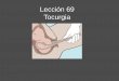 Lección 69 Tocurgia · la conclusión de éste en beneficio del feto o de la madre. Parto ... Revisión del canal blando del parto, tras concluir el ... Lesiones del canal del parto