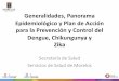 Generalidades, Panorama Epidemiológico y Plan de Acción ...iebem.morelos.gob.mx/sites/iebem.edu.mx/files/estrategia_dengue... · para la Prevención y Control del Dengue, Chikungunya