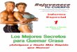 Los Mejores Secretos para Quemar Grasa - rejuvecetucuerpo.comrejuvecetucuerpo.com/files/1SecretosParaQuemarGrasa.pdf · correlación entre el bajo nivel de vitamina C y menor quema