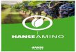 AMINO - hanseplant.com · de estos 20 aminoácidos esenciales imprescindibles para su buen desarrollo. Finalmente, se puede destacar el tamaño de las moléculas de los aminoácidos