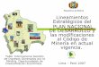 Lineamientos Estratégicos del PLAN NACIONAL DE …biblioteca.unmsm.edu.pe/redlieds/Proyecto/Eventos/eventos2007/... · integrada por la transformación de los recursos naturales