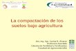 La compactación de los suelos bajo agricultura - IPNIlacs.ipni.net/ipniweb/region/lacs.nsf/0... · La compactación de los suelos bajo agricultura Dra. Ing. Agr. Carina R. Álvarez