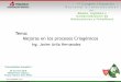 Tema: Mejoras en los procesos Criogénicoslhpp2018.com/assets/javieravilagimelgambia26-945-1030.pdf · El CPG Nuevo Pemex utiliza compresores centrífugos para el transporte de gas