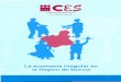 La economía irregular en la Región de Murcia - webs.um.eswebs.um.es/perceval/wp-content/uploads/2012/06/1996-economia... · Carlos Martínez-Abarca Pastor ... se pasa a la consideración