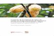 Fomento de la Cadena de Valor de Cacao en Organizaciones ... · Fomento de la Cadena de Valor de Cacao en Organizaciones de Pequeños Productores ... GmbH trabaja orientada a impactos