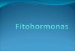 ¿Qué es una fitohormona? - Morfofisiología Vegetalmorfo-fisio-vegetal.yolasite.com/resources/Fitohorm-reducido.pdf · Las conformados a base de adeninas y las que son a base de