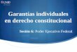Garantías individuales en derecho constitucionalmoodle2.unid.edu.mx/dts_cursos_mdl/ejec/DE/GI/S06/GI06_Visual.pdf · en derecho constitucional Sesión 6: Poder Ejecutivo Federal
