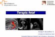 Terapia fetal - Noveno Semestre UCIMED 2012 · Mielomeningocele Transfusión feto-fetal Restricción crecimiento selectivo monocoriales ... polihidramnios y megavejiga receptor oligohidramnios