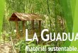 Presentación de PowerPoint - IMED Jimenez_La Guadua.pdf · HISTORIA Bambusa Guadua Las cañazas o tacuaras también conocidas como Bambú Americano (Guadua spp.) son un género de