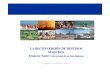 LA RECONVERSIÓN DE DESTINOS MADUROS Francesc … · DE LAS ISLAS BALEARES Conselleria de Turismo El ... • En el ámbito del cambio del modelo de negocio – Creación de un marco