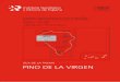 Cubierta 1083-III Pino de la Virgen - info.igme.esinfo.igme.es/cartografiadigital/datos/magna50/memorias/MMagna1083... · 3 La hoja geológica a escala 1/25:000 y geomorfológica