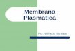 Membrana Plasmática · TRANSPORTE CELULAR DE MOLECULAS PEQUEÑAS ... Transporte a través de la membrana. Bomba de Sodio y Potasio a través de la membrana Ambiente interno Ambiente