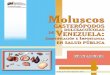 El Instituto Nacional de Investigaciones Agrícolas es un ... de Venezuela.pdf · Moluscos gasterópodos dulceacuícolas de Venezuela: Identificación e Importancia en salud pública