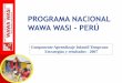 PROGRAMA NACIONAL WAWA WASI - PERÚ - web.oas.org Proyectos Actividad... · Desarrollar en niñas y niños niveles óptimos de desarrollo en todas sus dimensiones, motora, cognitiva,