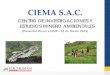 Presentación de PowerPointiimp.org.pe/pptjm/jm20150312_ciema.pdf · de 444 de estos pasivos ambientales distribuidos en las Áreas de «El Sinchao» y «Hualgayoc 